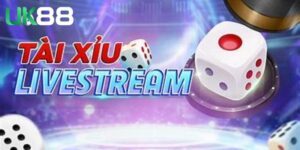 Tài Xỉu Livestream Và Những Thông Tin Hữu Ích Cho Tân Thủ